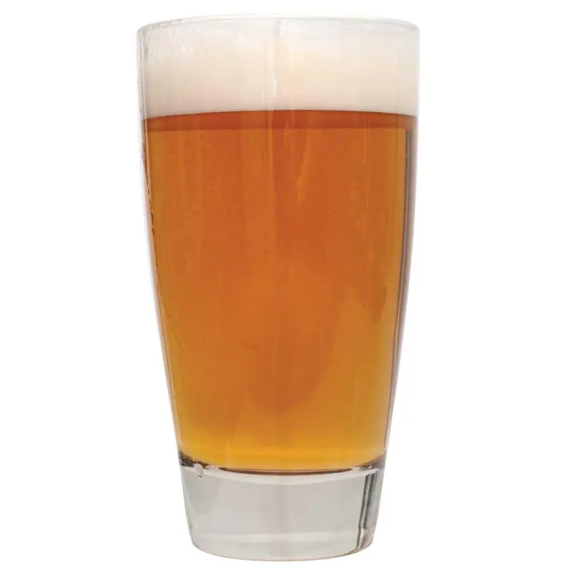 Amber Ale Extract Brewing Kit – American Style 1