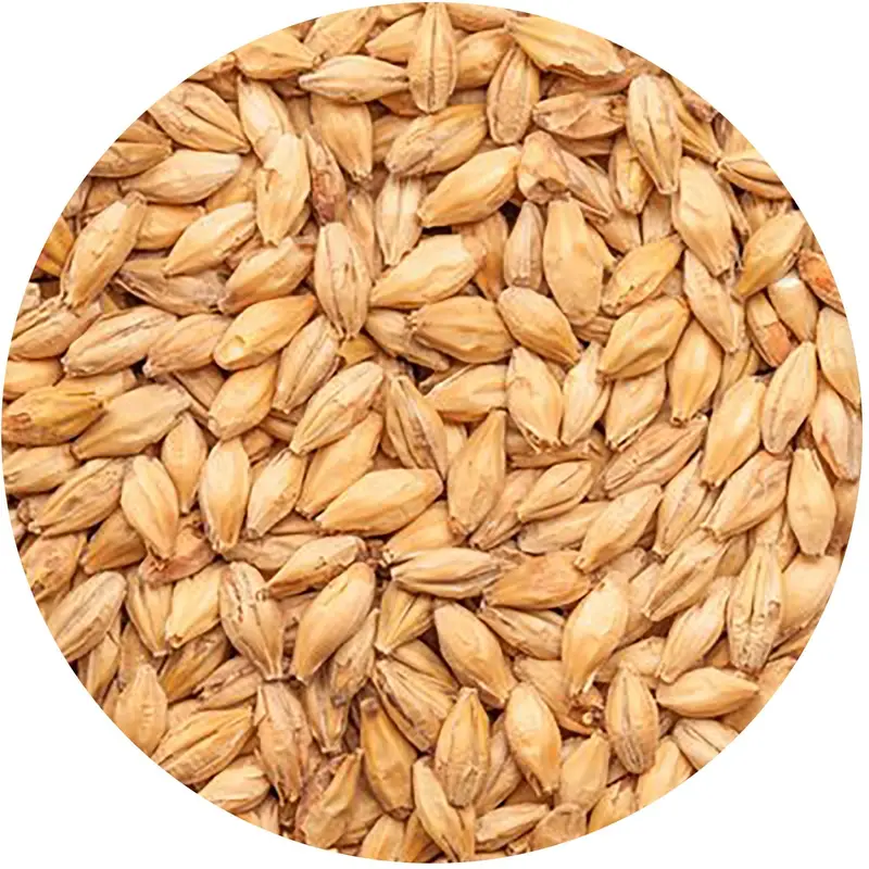 Best Malz Red X® Munich Malt – 55 Lb German Reddish Amber Malt 1