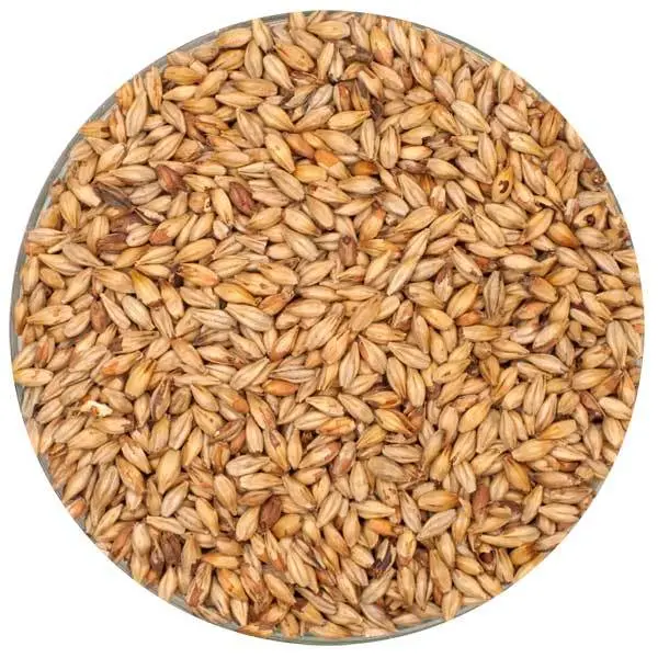 Biscuit Malt – Crisp, Crackery Flavor Enhancer, 55 Lb 1