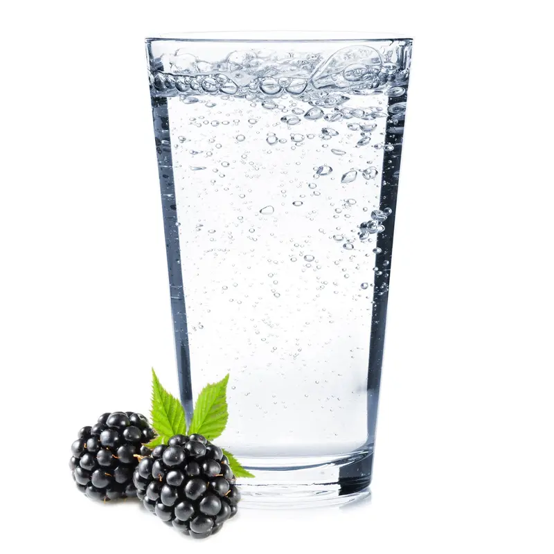 Blackberry Hard Seltzer Diy Kit – Low-Calorie Sparkling Beverage Recipe 1