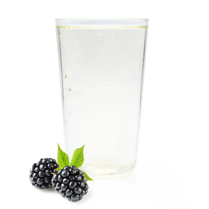 Blackberry Ranch Water Kit – Bold Berry Twist 1