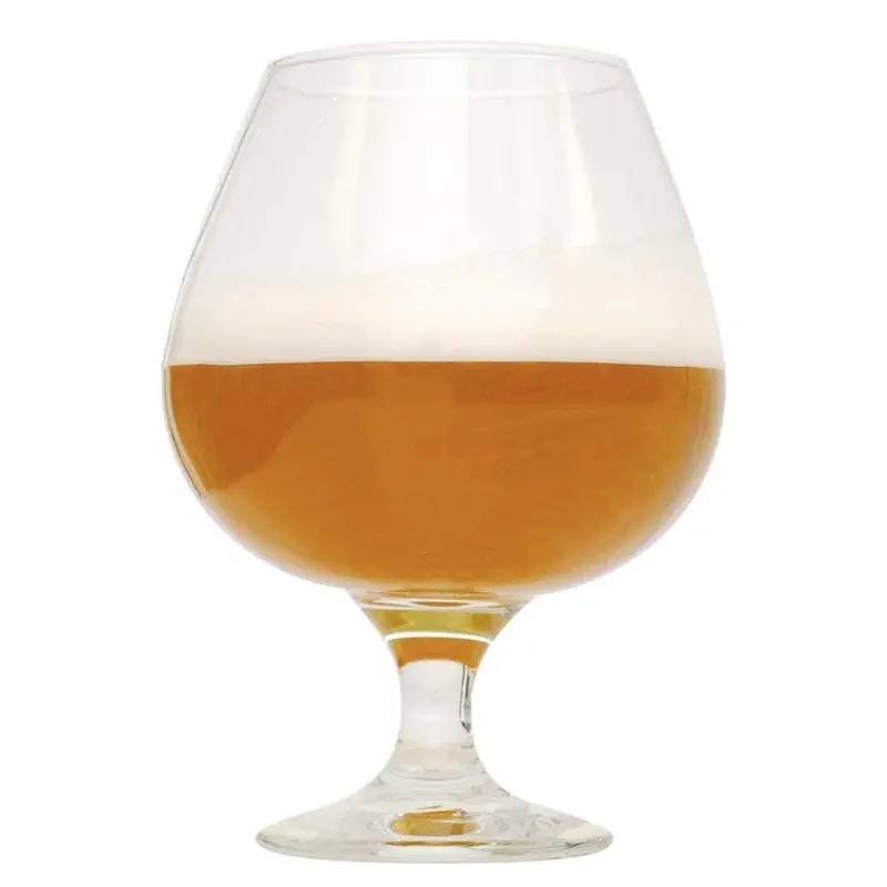 Bold Cascade Mountain Imperial Ipa Beer Recipe Kit (Extract) 1