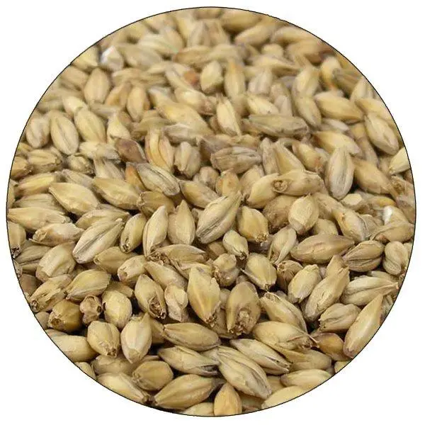 Briess 2-Row Brewers Malt – Versatile American Pale Base – 50 Lb 1