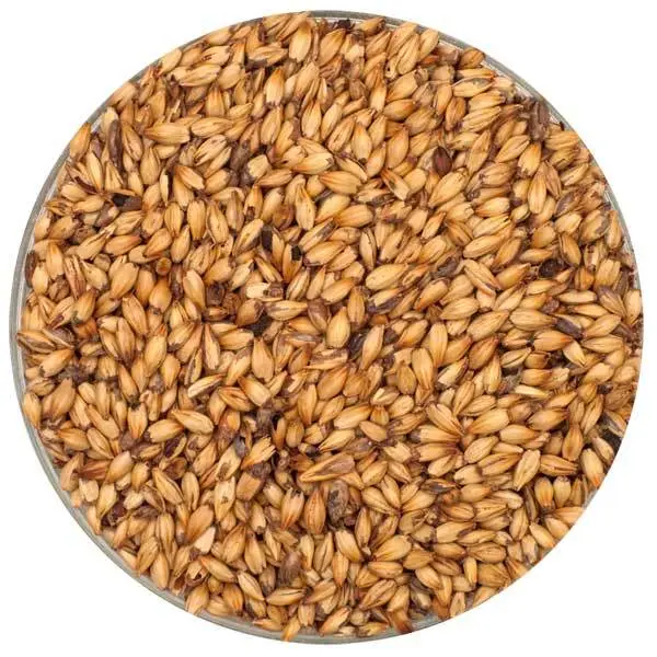 Briess Caramel 120L Malt – Intense Dark Crystal Malt 1