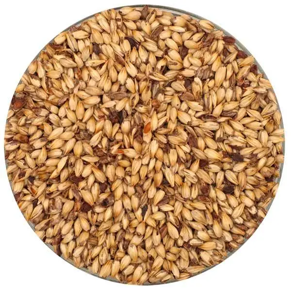 Briess Caramel 40L Malt – Specialty Brewing Grain 1