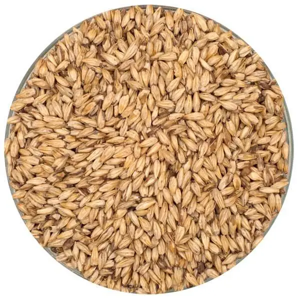 Briess Carapils Malt – Dextrin Base Grain 1