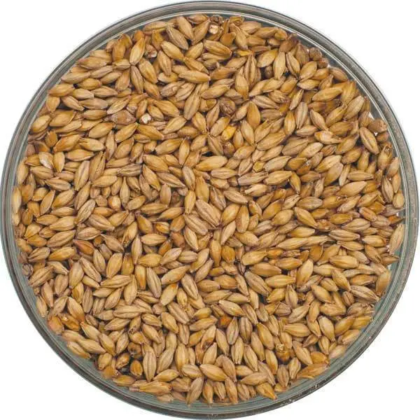 Briess Lighthouse Munich Malt – 1 Lb 1