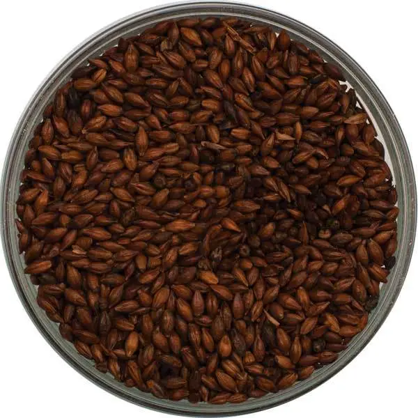 Briess Organic Roast Barley Malt 1