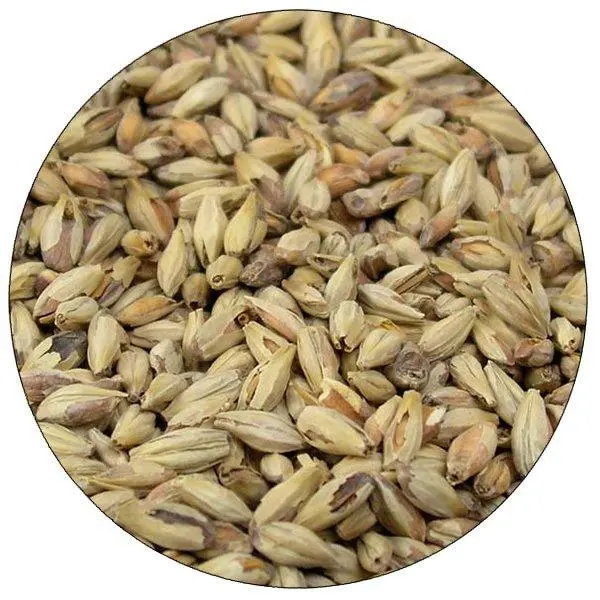 Briess Pale Ale Malt – Balanced American Base Malt 1