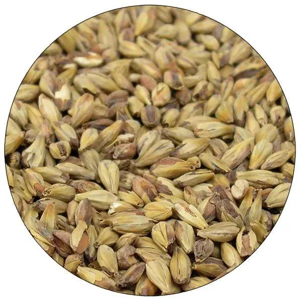 Briess Special Roast Malt – Nutty, Toasty Roasted Barley 1