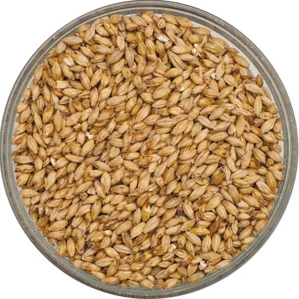 Canada Malting Superior Pale Ale Malt – 55 Lb Commercial Bag 1