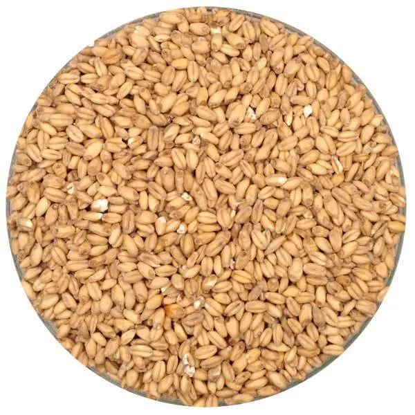 Canada Malting Wheat Malt – Canadian-Grown Wheat Base – 55 Lb 1