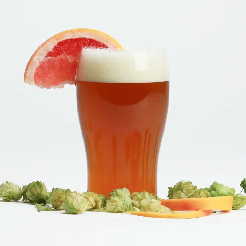 Citrus-Forward West Coast Ipa Beer Recipe Kit (Extract) 1