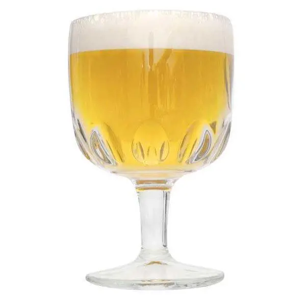 Complex Belgian Tripel Beer Recipe Kit (Extract) 1