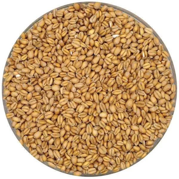 Crisp English Torrified Wheat Malt 1