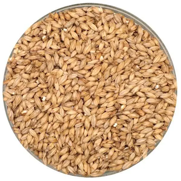 Crisp Pale Malt – Classic English Base Grain 1