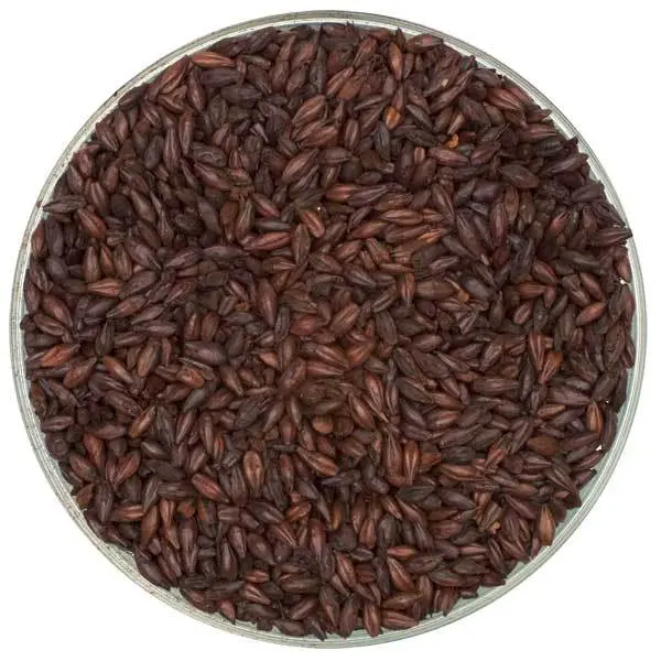 Dingemans Belgian Debittered Black Malt 1