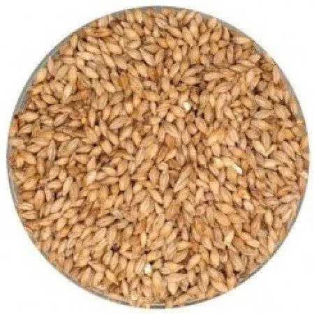 Dingemans Belgian Munich Malt – Specialty Dark Malt 1