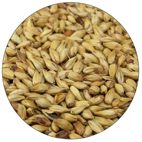 Dingemans Caravienne (Cara 20) Malt – Belgian Light Crystal Malt 1