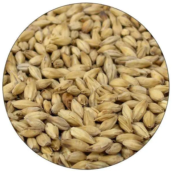 Dingemans Pale Ale Malt – Belgian Two-Row Ale Base Malt 1