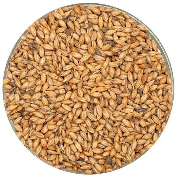 English Amber Malt – Traditional Kilned Specialty Grain 1