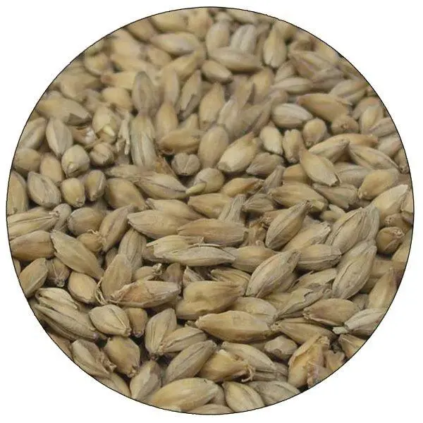 English Maris Otter Malt – Warminster Floor-Malted Heritage Grain 1