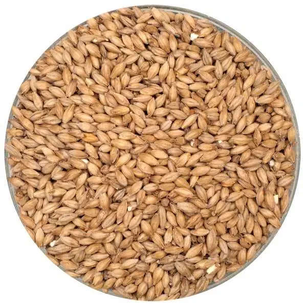 Fawcett English Pearl Malt – 55 Lb Specialty Grain Sack 1