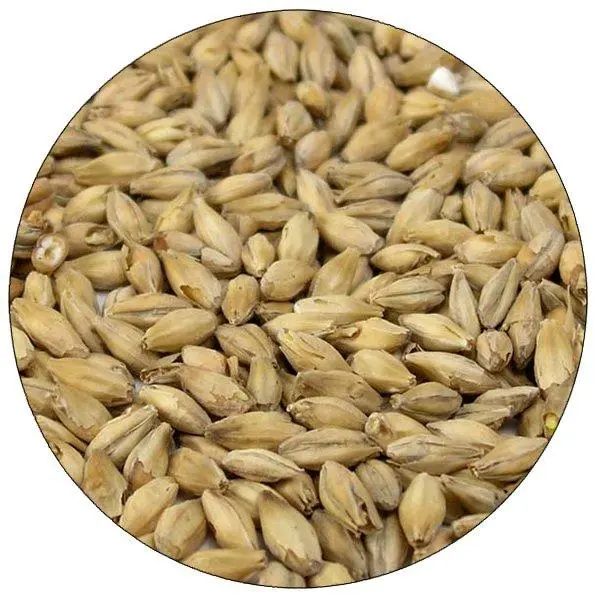German Vienna Malt – Toasty, Honeyed Base Malt, 55 Lb 1