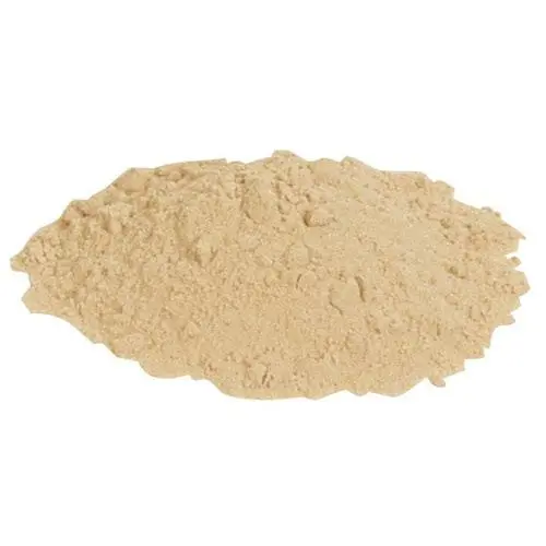 Go-Ferm Yeast Rehydration Nutrient – 10 G Pack 1