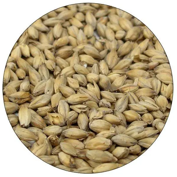 Golden Promise Malt – Scottish Floor-Malted Base Grain 1