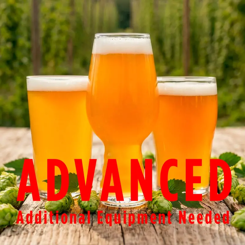 Hopheads Lite All-Grain Beer Variety Pack – 3.5% Abv 1