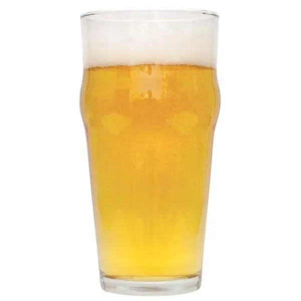 Irish Blonde Ale Homebrew Extract Kit 1