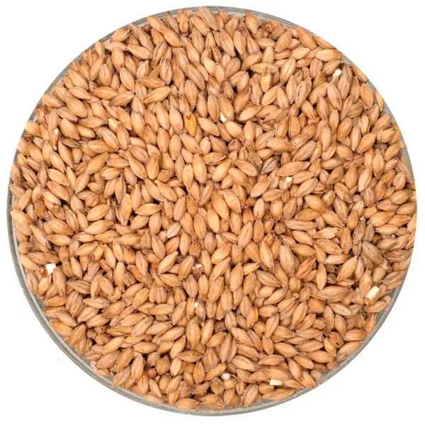 Irish Stout Malt By Malting Company Of Ireland 1