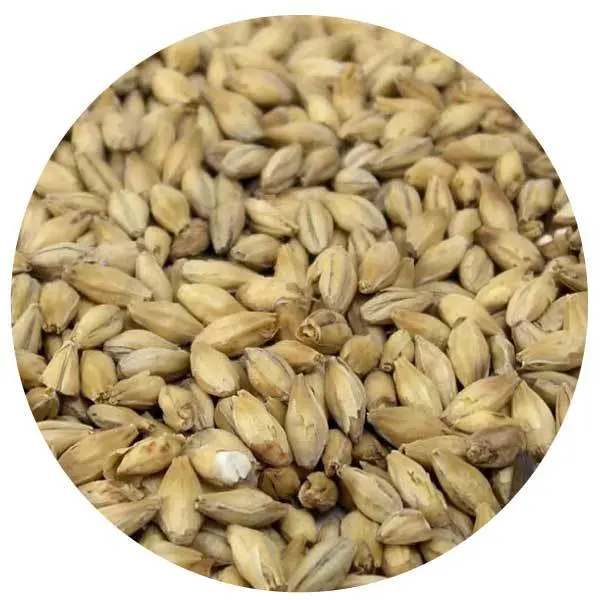 Isaria 1924® Heirloom Malt By Weyermann® – Traditional Craft Brewing Grain 1