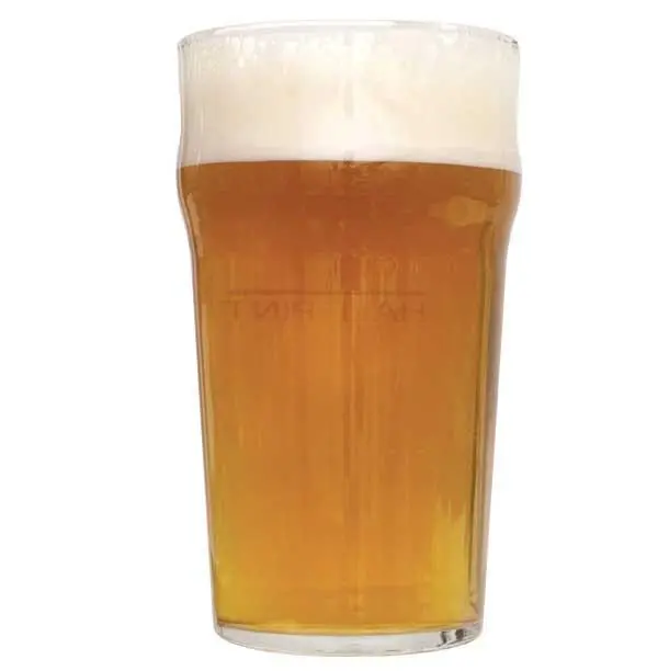 John Q. Adams Marblehead Lager Homebrew Extract Kit 1