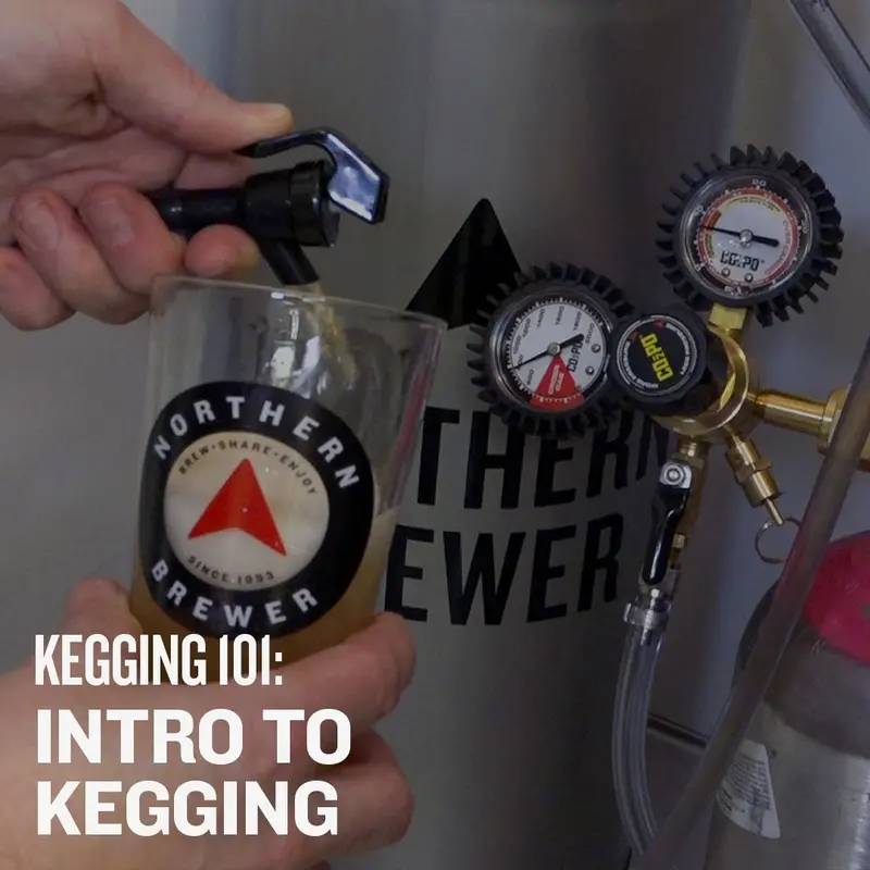 Kegging 101 Video Course – Beginner’S Guide To Home Draft Systems 1