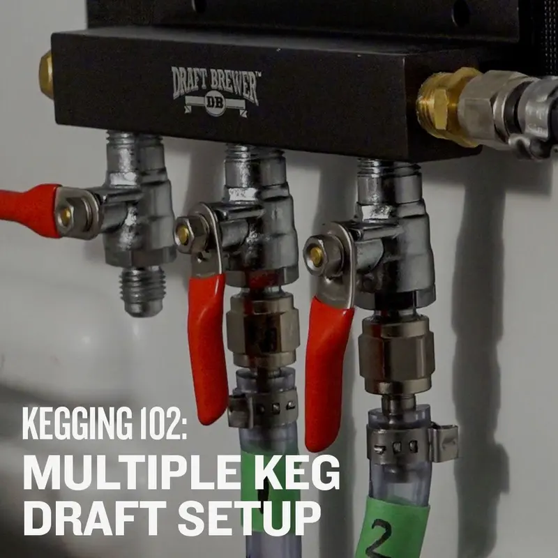 Kegging 102: Multi-Keg Draft System Setup – Video Course 1