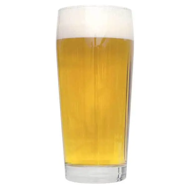 Kölsch Homebrew Extract Kit 1