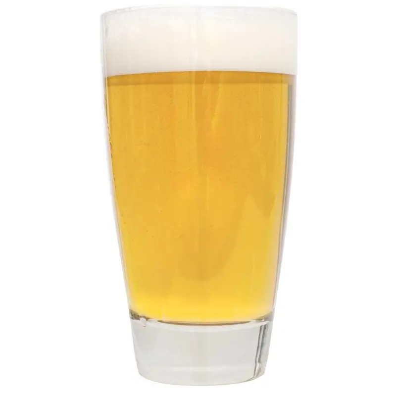 Lefse Blonde Ale Homebrew Extract Kit 1