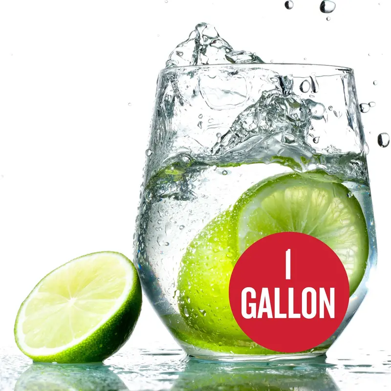 Lime-Flavored Hard Seltzer Recipe Kit – 1-Gallon Homebrew Bundle 1