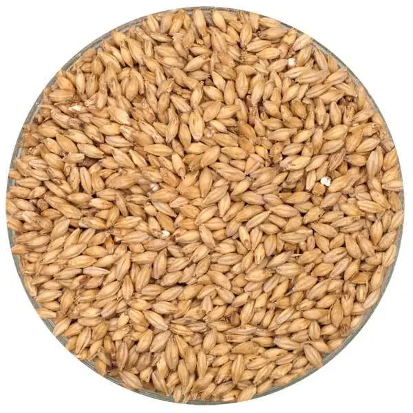 Malting Co. Of Ireland Irish Distiller'S Malt – 55 Lb Bag 1
