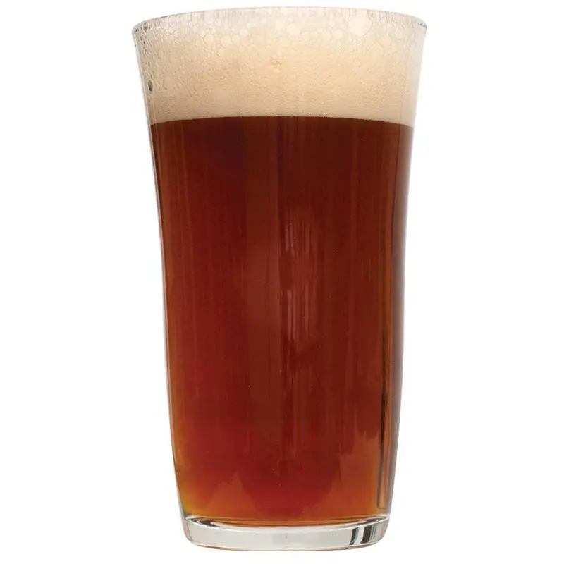 Megalodon Imperial Red Ale Homebrew Extract Kit 1
