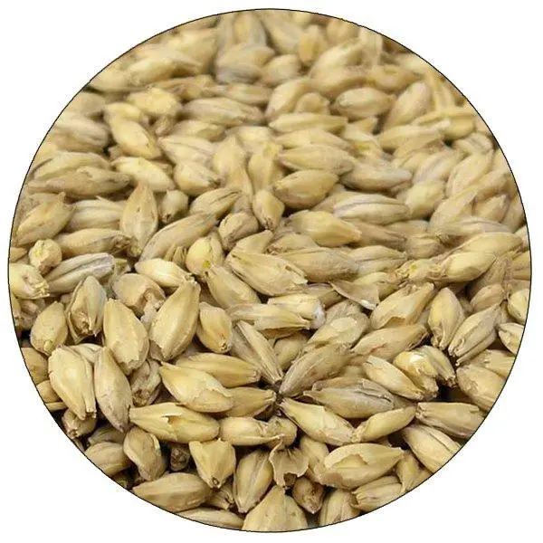 Montana Craft Malt British Pale Malt – Specialty Brewing Grain 1
