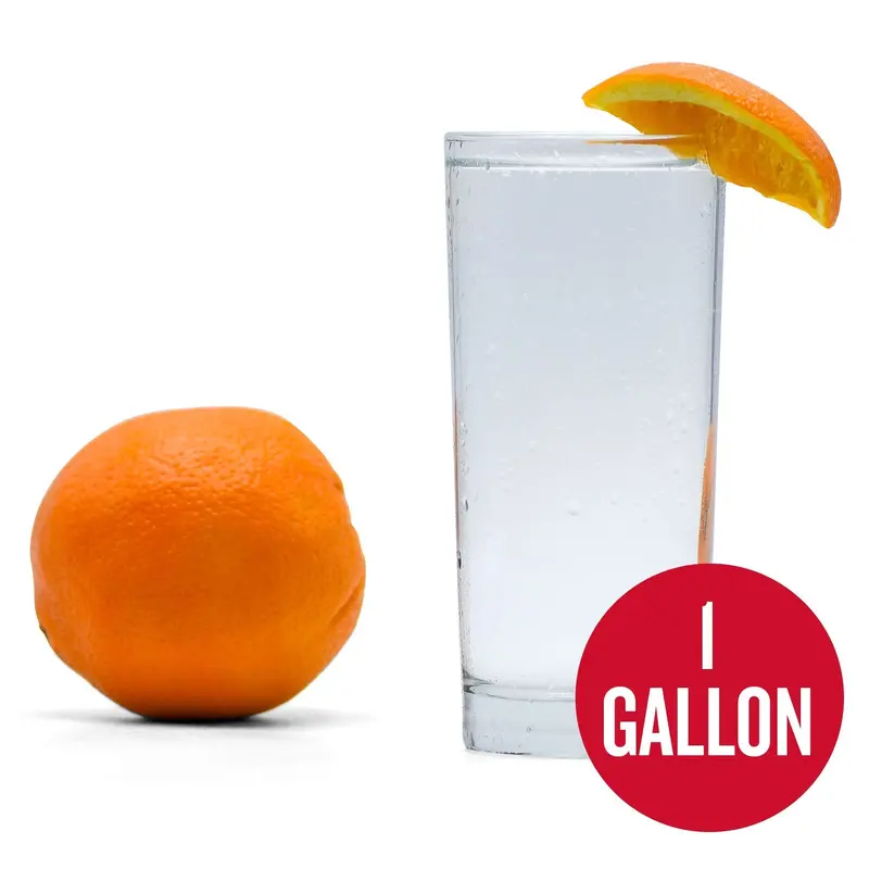Navel Orange Hard Seltzer Brewing Kit – 1-Gallon Homebrew 1