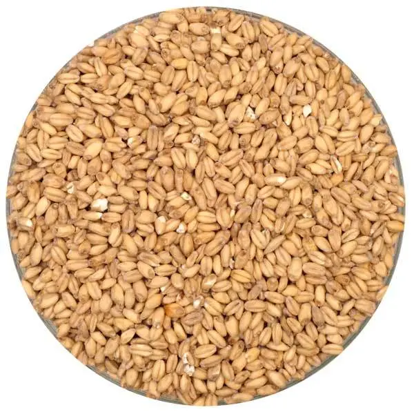 Root Shoot Malting Olandsvete Heritage Wheat Malt – 50 Lb Bag 1