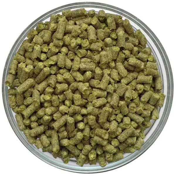 Saaz Hops Pellets (1 Oz) – Noble Czech Aroma Hop 1