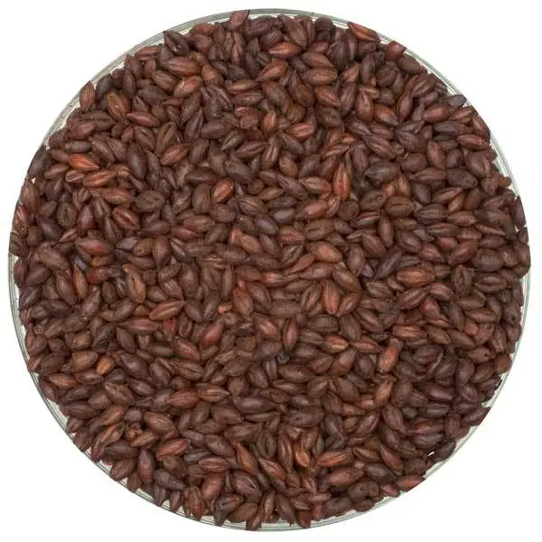 Simpsons English Coffee Malt – 50 Lb Roasted Grain Sack 1