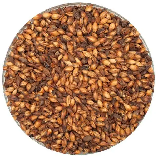 Simpsons Extra Dark Crystal Malt – Intense Dried-Fruit Complexity, 55 Lb 1