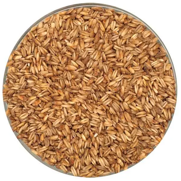 Simpsons Golden Naked Oats Malt 1