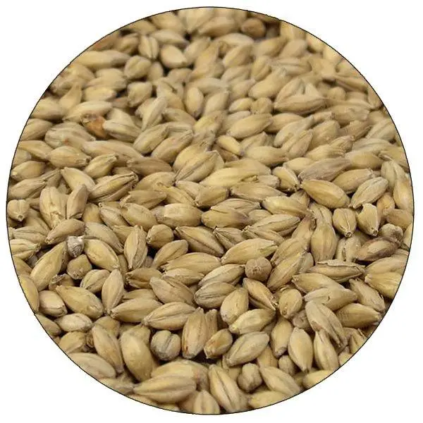 Simpsons Maris Otter Malt – Heritage British Ale Malt 1